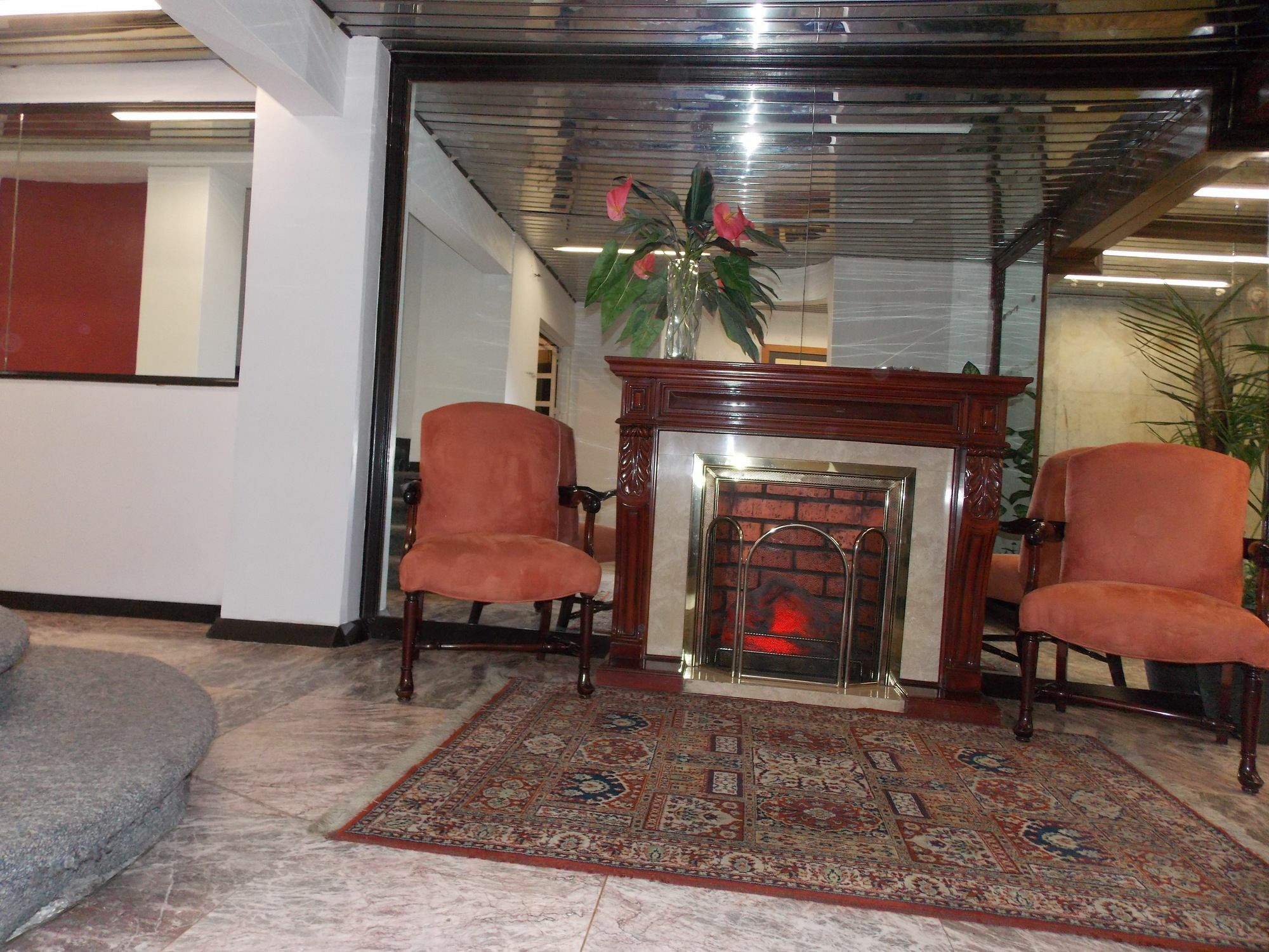 Steinhaus Suites Hamburgo 멕시코 시 외부 사진